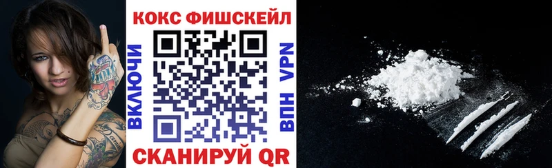 КОКАИН FishScale  Купить где  Старица 