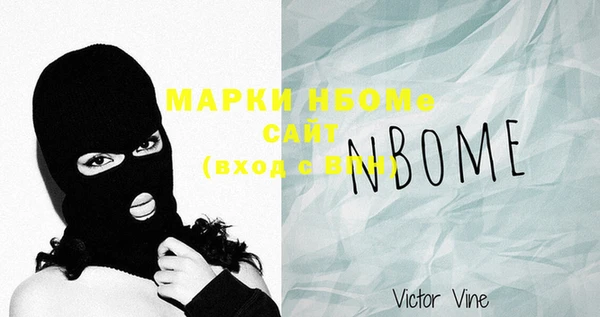 шишки Снежногорск