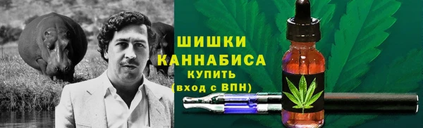 ПСИЛОЦИБИНОВЫЕ ГРИБЫ Семёнов