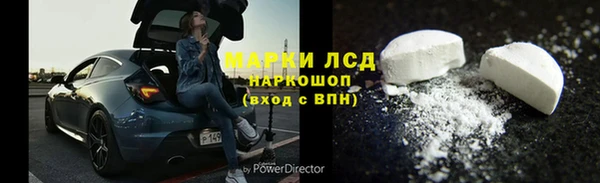 ПСИЛОЦИБИНОВЫЕ ГРИБЫ Семёнов