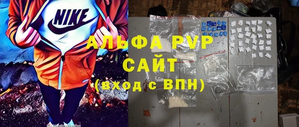 шишки Снежногорск